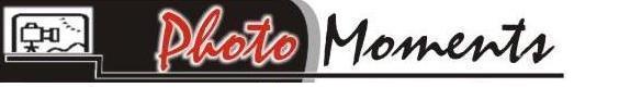 [Company Logo Image]